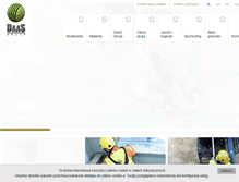 Tablet Screenshot of daasgroup.pl
